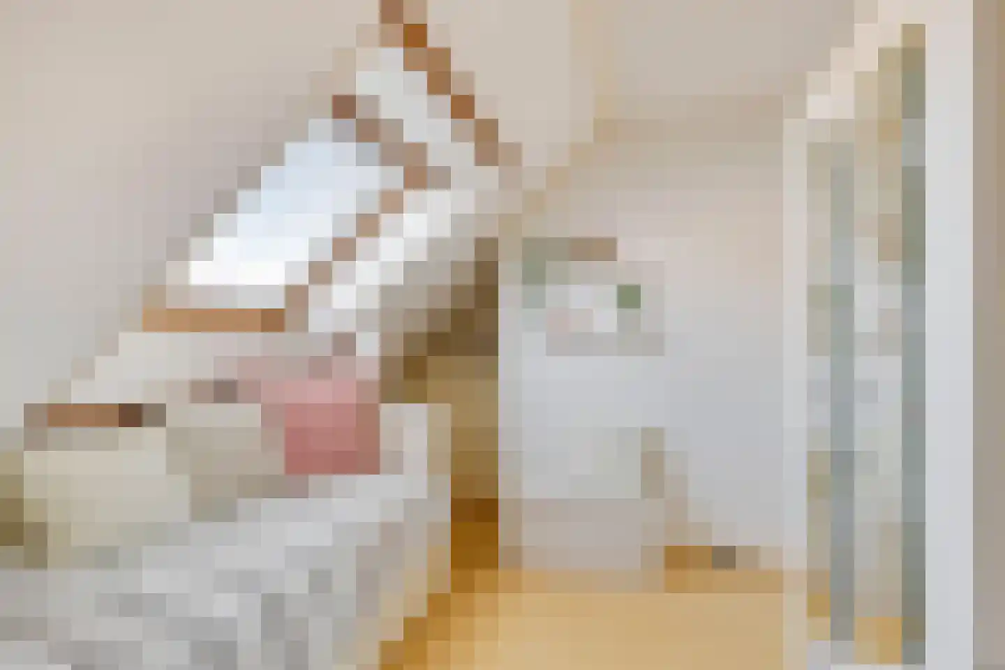 Wilhelminastraat 1 Dinxperlo thumbnail 33