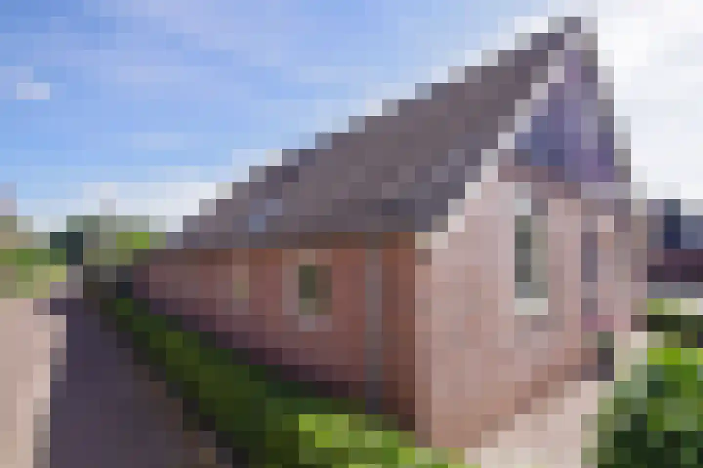 Wilhelminastraat 1 Dinxperlo thumbnail 47