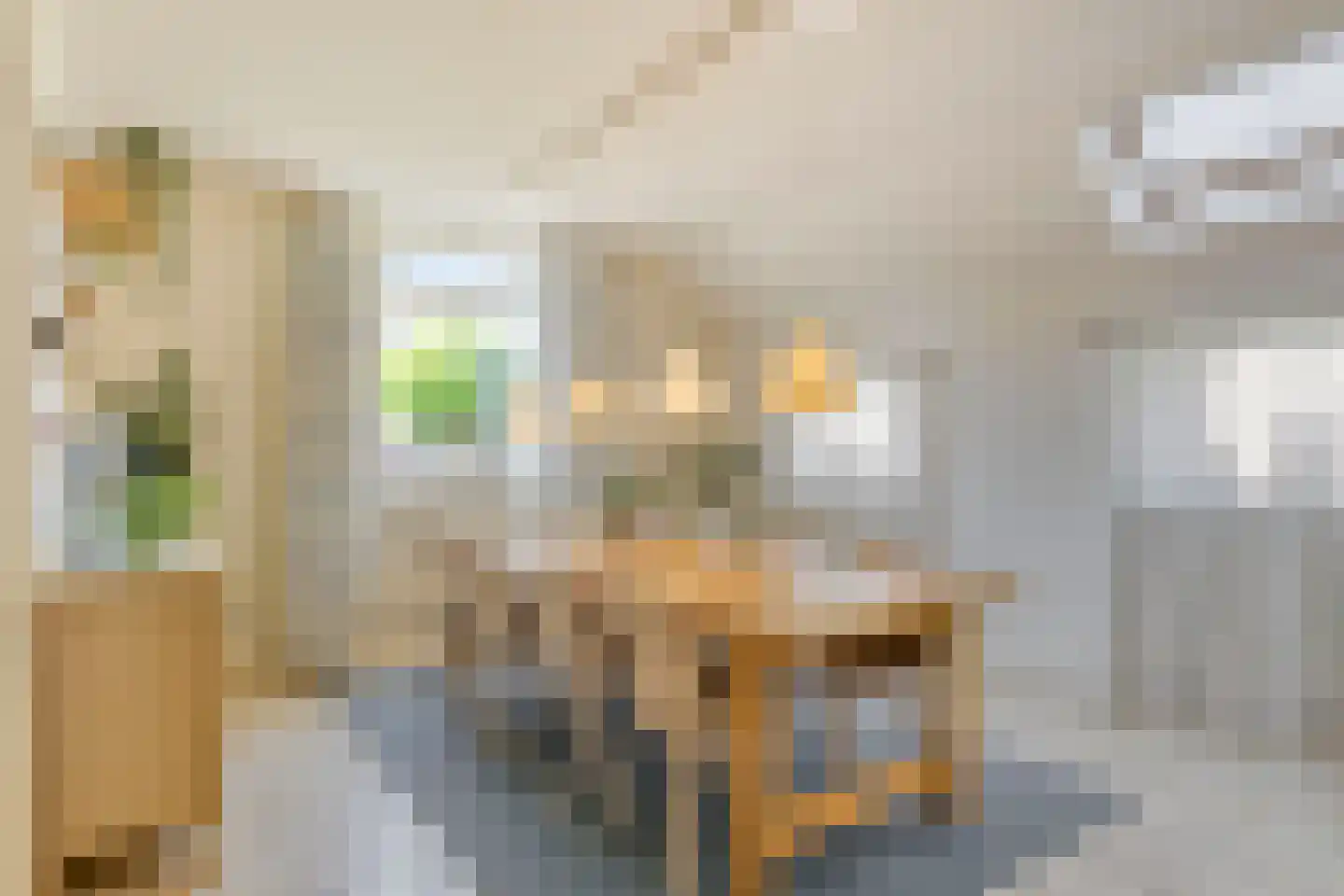 Wilhelminastraat 1 Dinxperlo thumbnail 6
