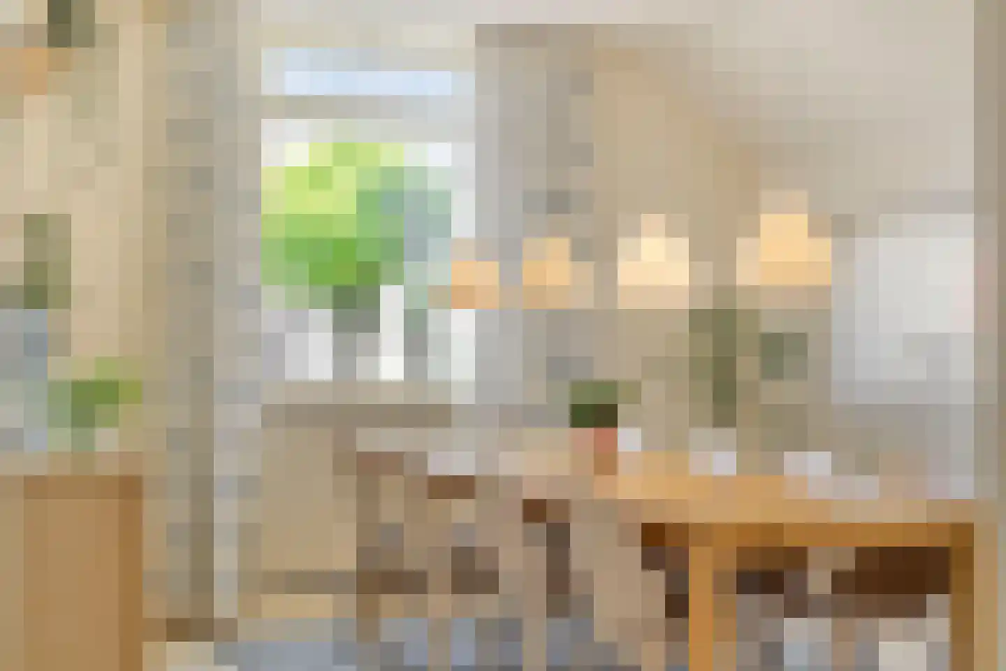 Wilhelminastraat 1 Dinxperlo thumbnail 8