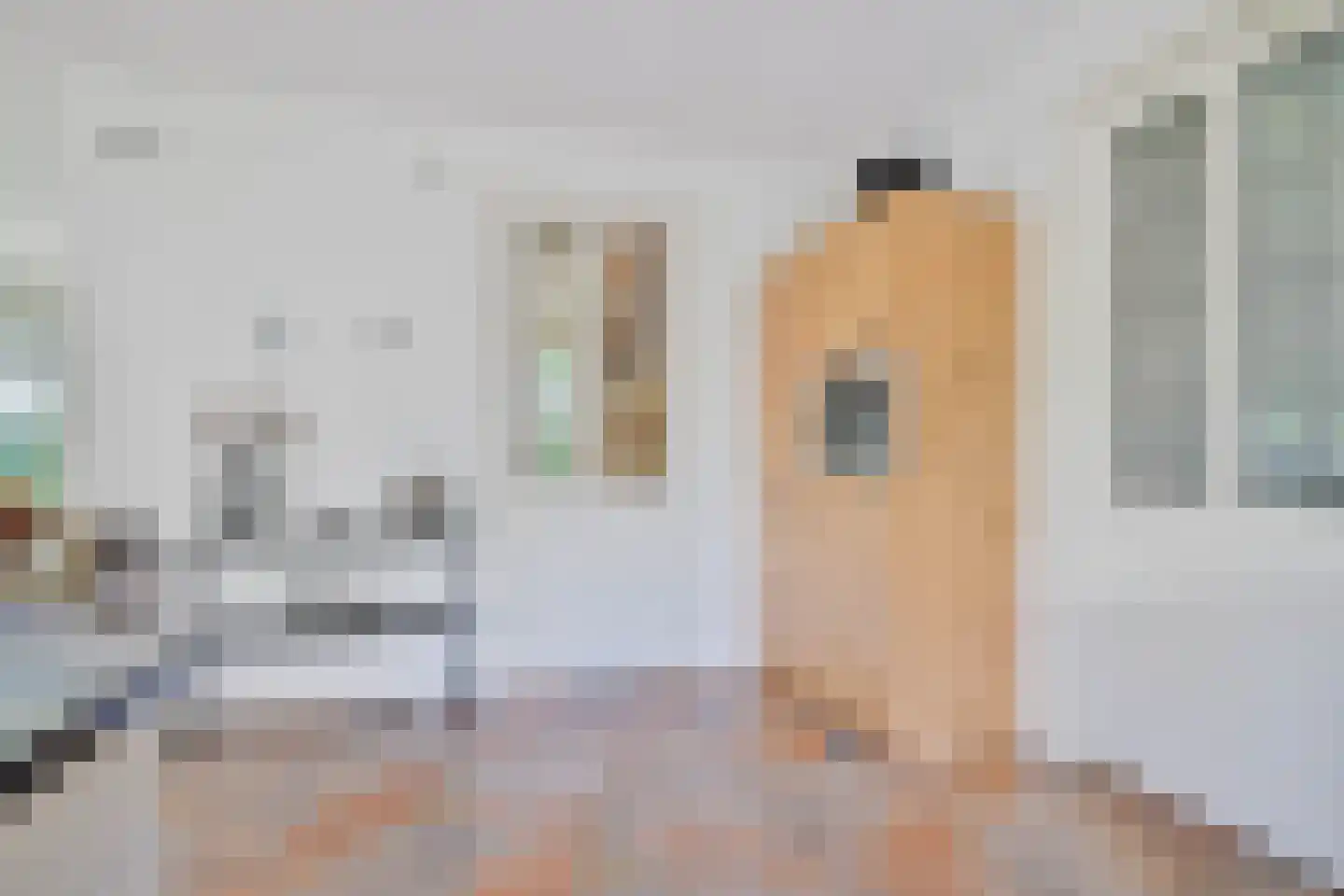 Wilhelminastraat 1 Dreumel thumbnail 14