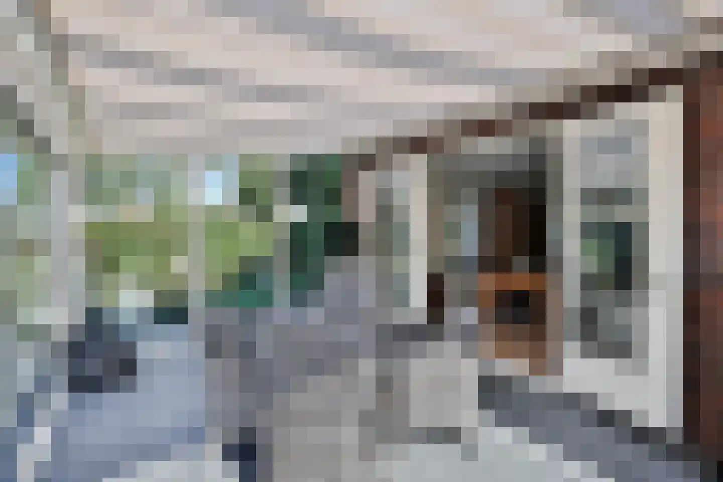Wilhelminastraat 1 Dreumel thumbnail 17
