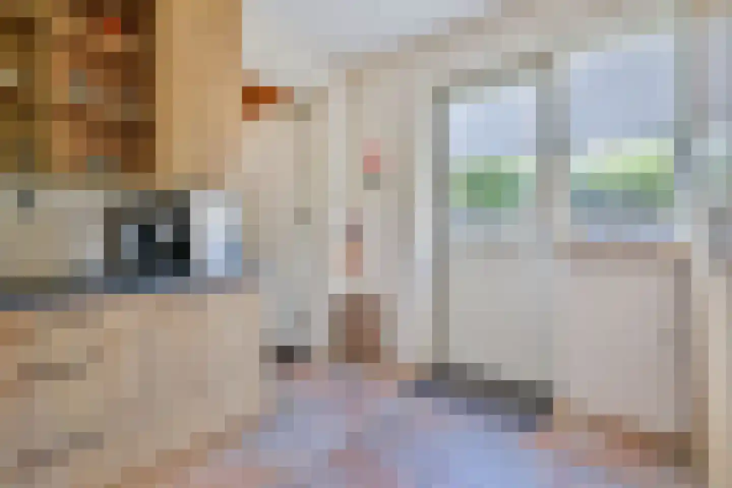 Wilhelminastraat 1 Dreumel thumbnail 18