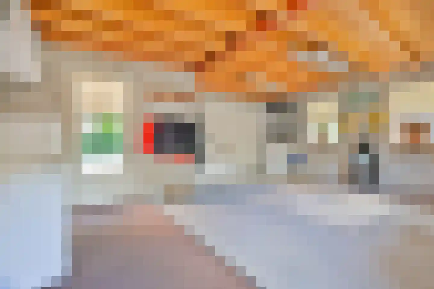 Wilhelminastraat 1 Dreumel thumbnail 20