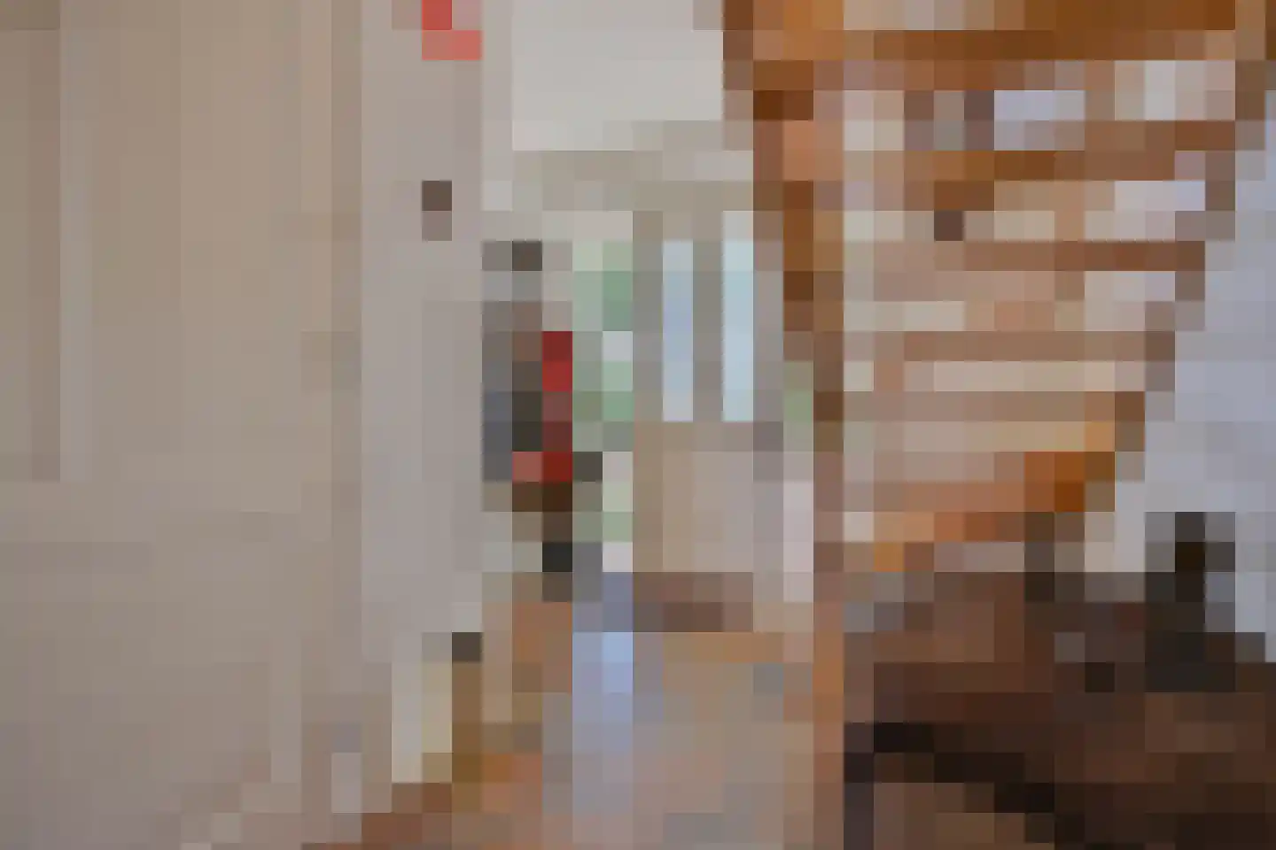 Wilhelminastraat 1 Dreumel thumbnail 22