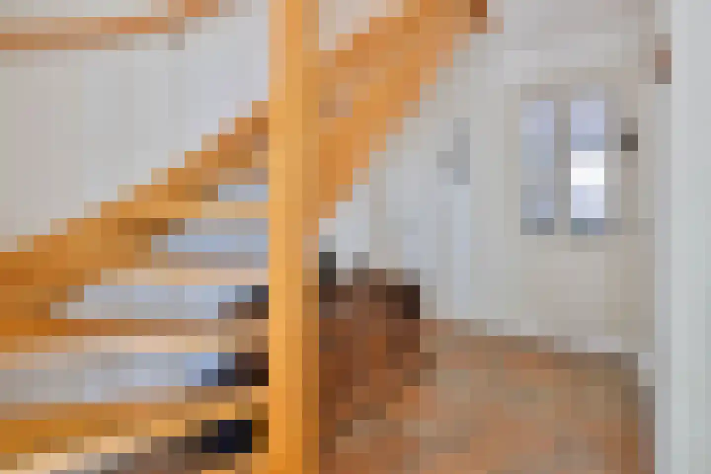 Wilhelminastraat 1 Dreumel thumbnail 24