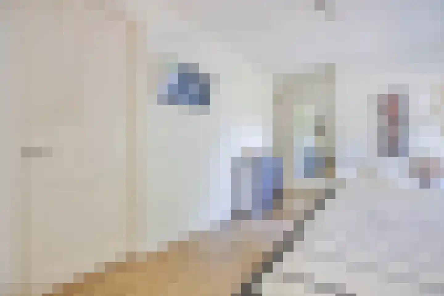 Wilhelminastraat 1 Dreumel thumbnail 29