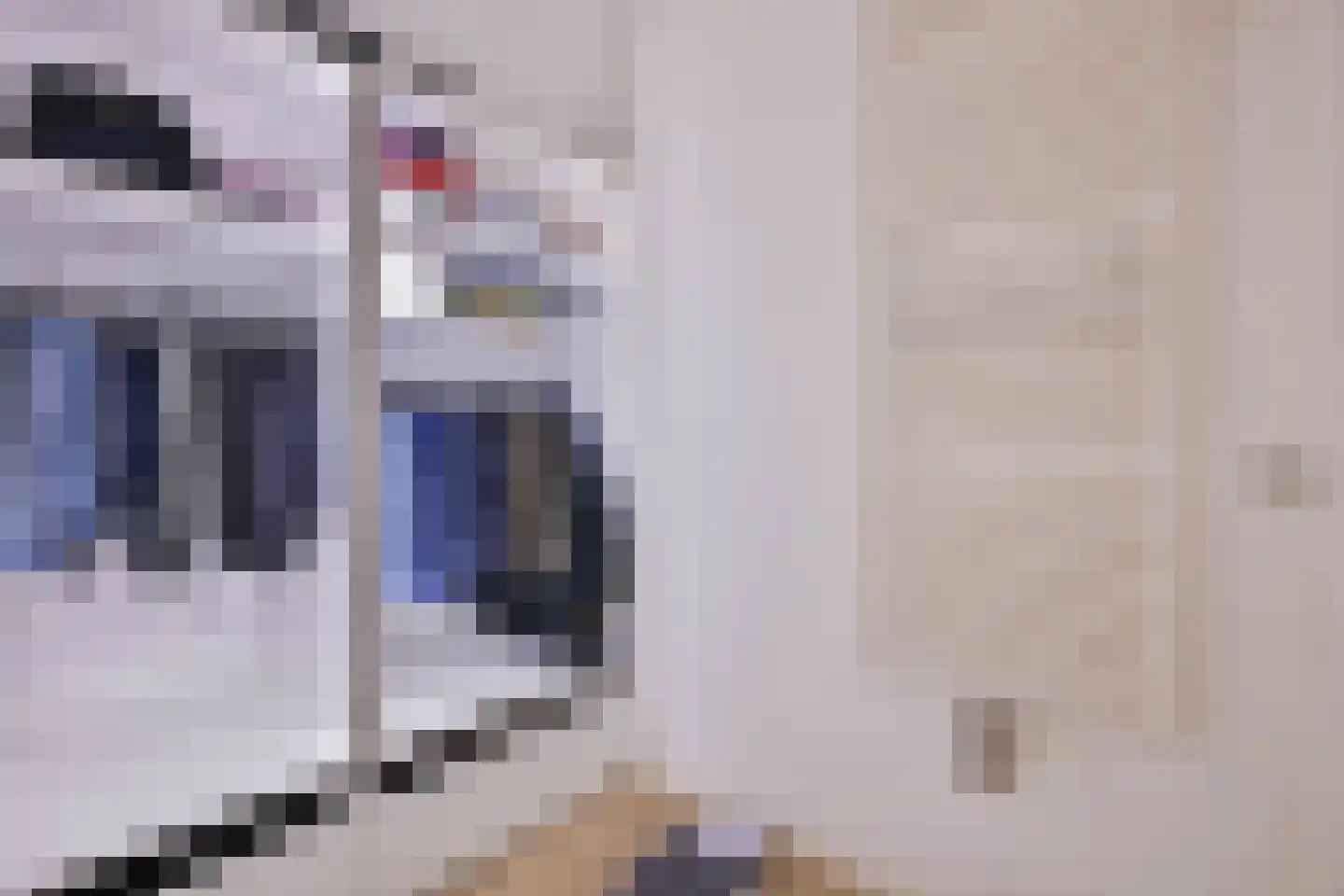 Wilhelminastraat 1 Dreumel thumbnail 31