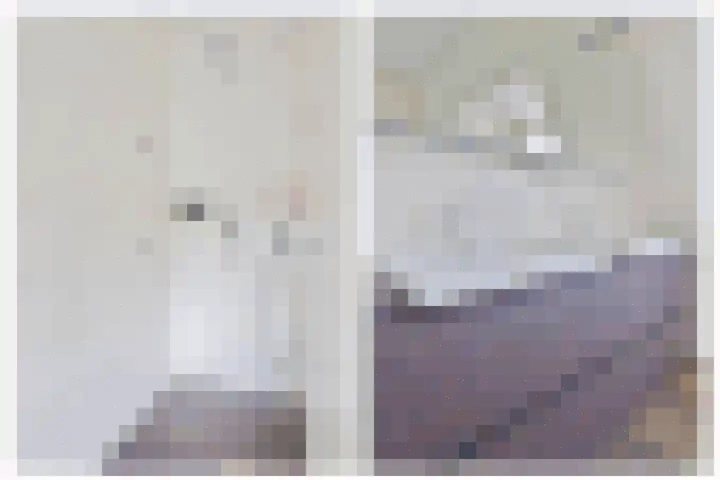 Wilhelminastraat 1 Dreumel thumbnail 34