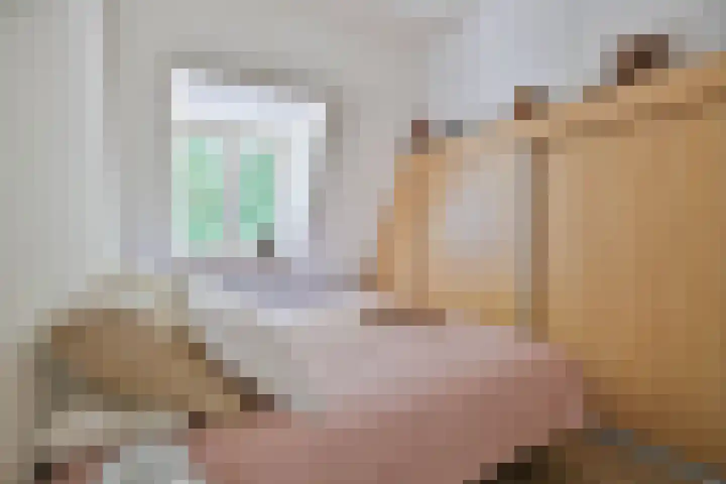Wilhelminastraat 1 Dreumel thumbnail 35