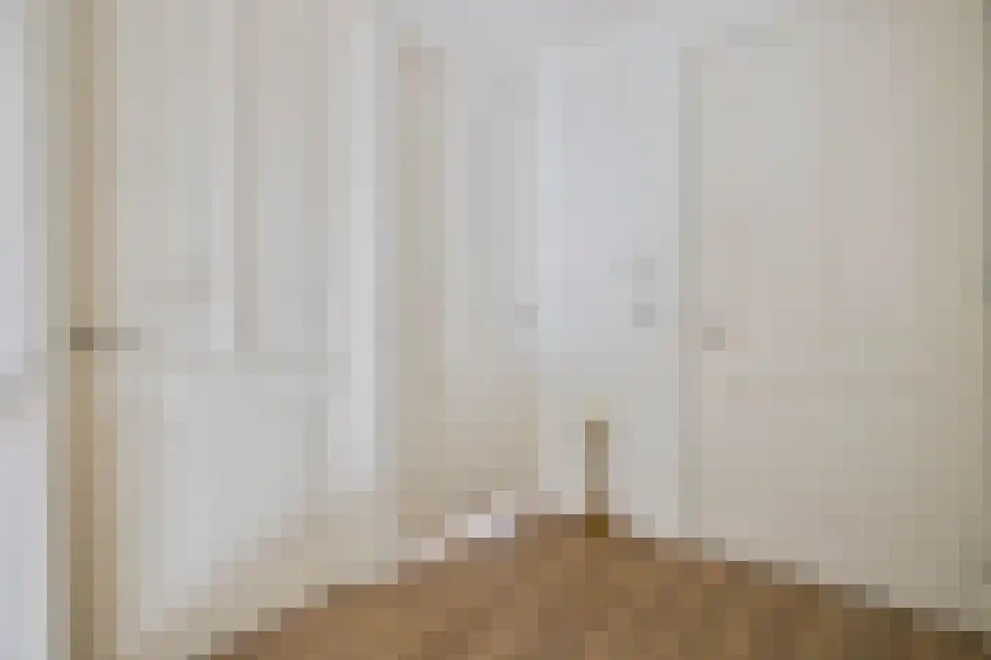 Wilhelminastraat 1 Dreumel thumbnail 37