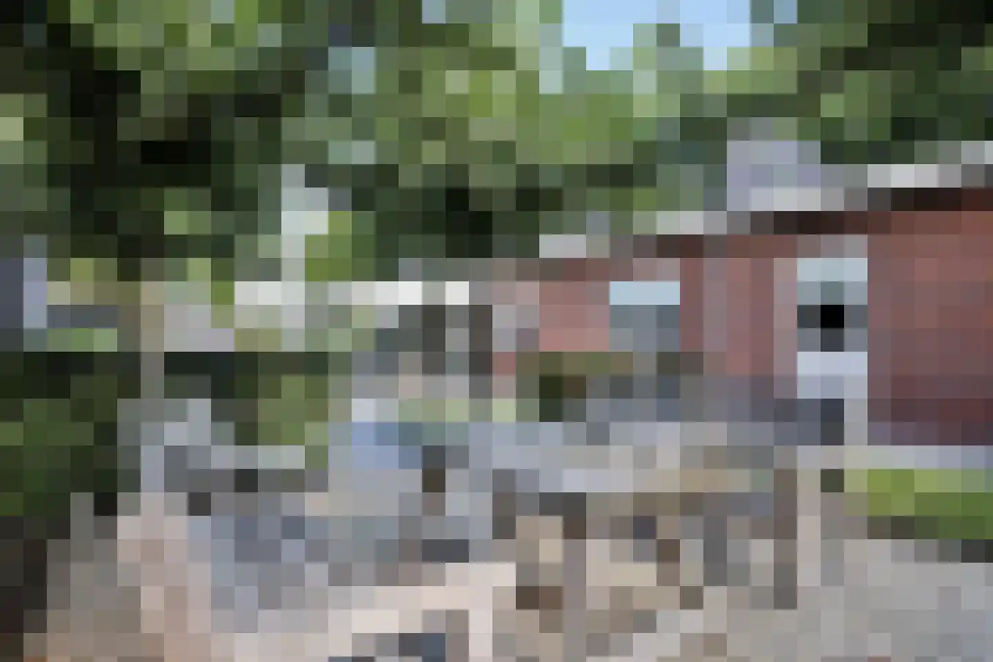 Wilhelminastraat 1 Dreumel thumbnail 43