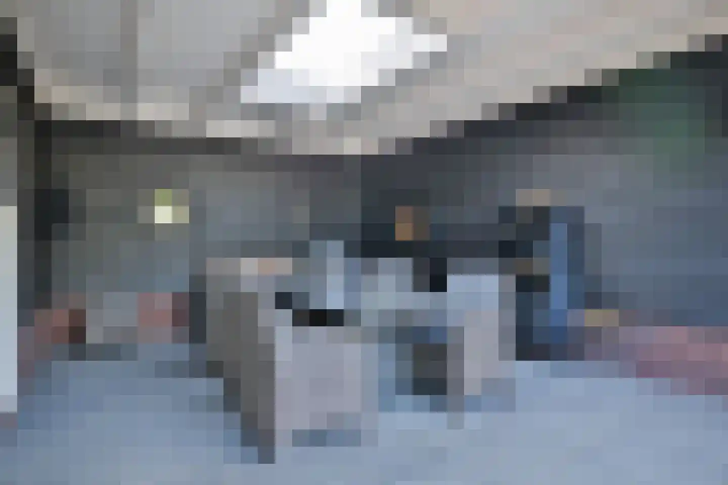 Wilhelminastraat 1 Dreumel thumbnail 44