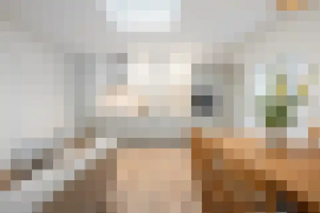 Wilhelminastraat 1 Haarlem thumbnail 4