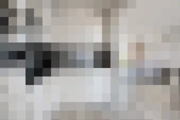 Wilhelminastraat 1 Hoek thumbnail 12