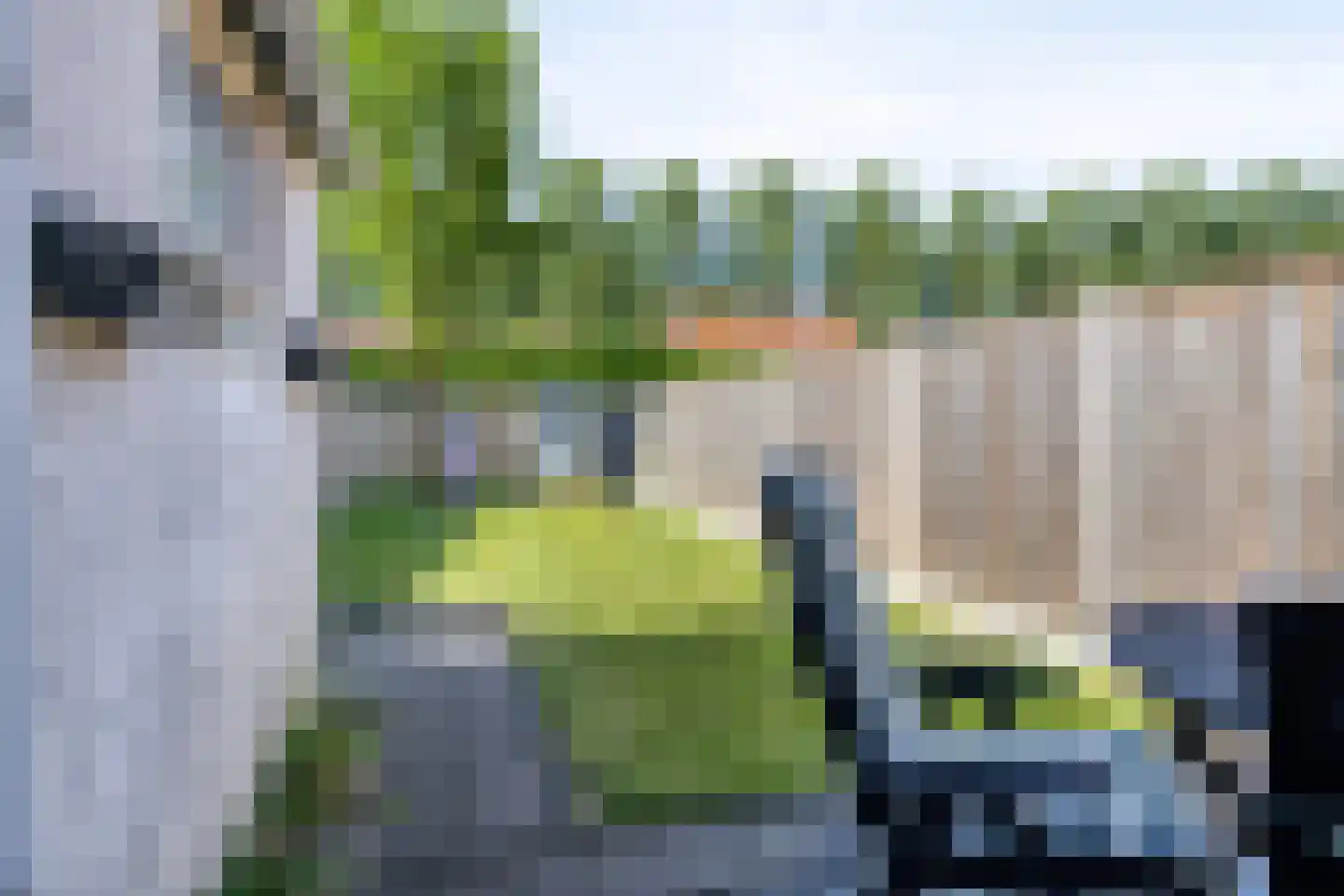 Wilhelminastraat 1 Kortgene thumbnail 24