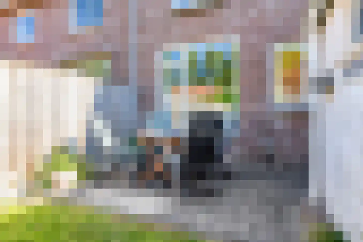 Wilhelminastraat 1 Kortgene thumbnail 27