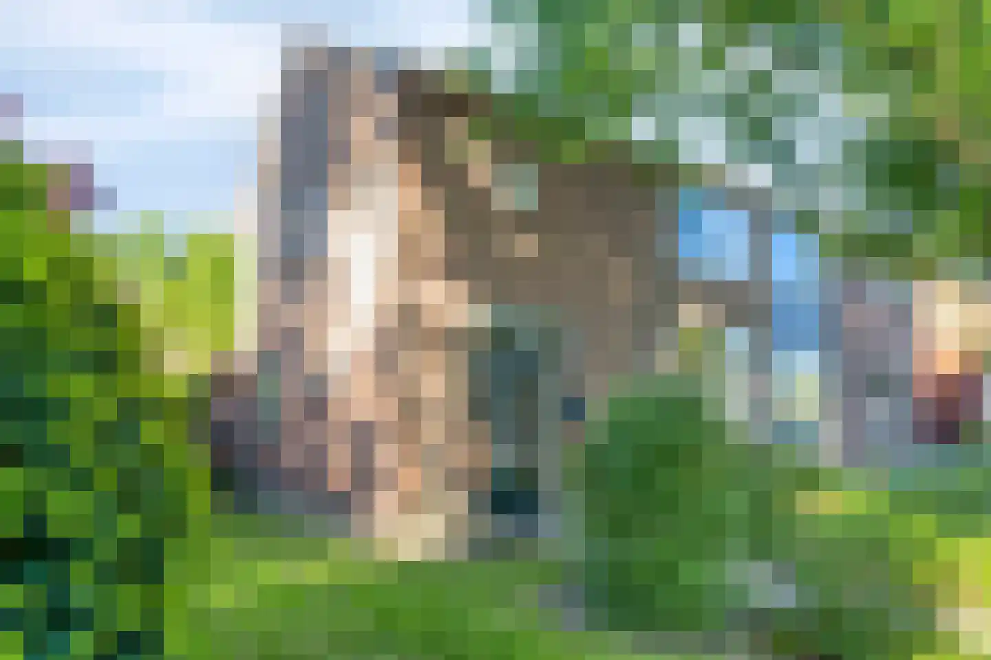 Wilhelminastraat 1 Kortgene thumbnail 32