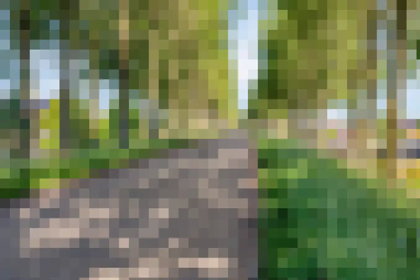 Wilhelminastraat 1 Kortgene thumbnail 36