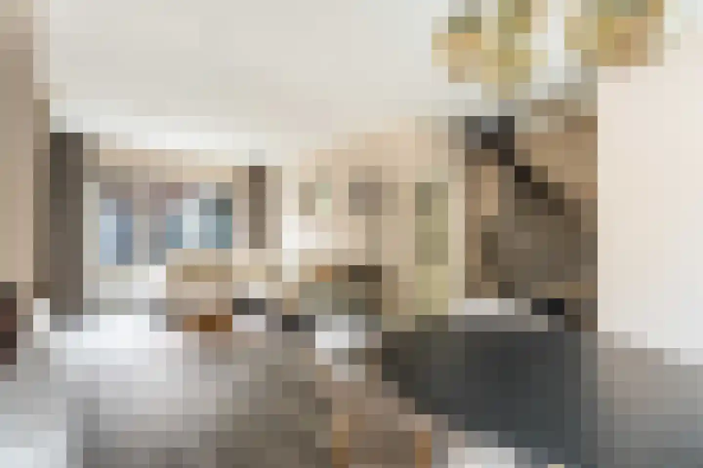 Wilhelminastraat 1 Lisse thumbnail 10
