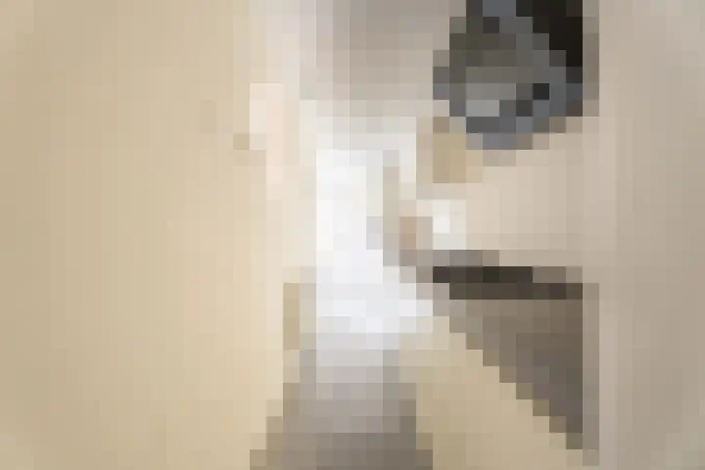 Wilhelminastraat 1 Lisse thumbnail 19
