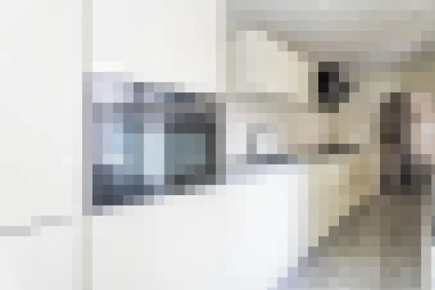 Wilhelminastraat 1 Lisse thumbnail 20