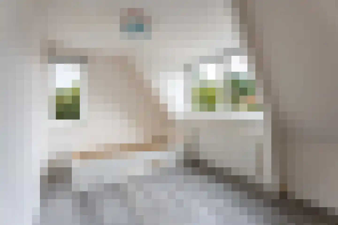 Wilhelminastraat 1 Lisse thumbnail 26