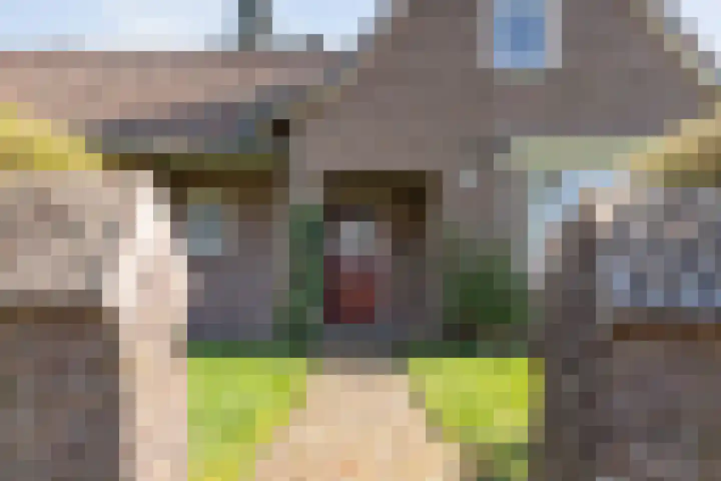Wilhelminastraat 1 Ommen thumbnail 13