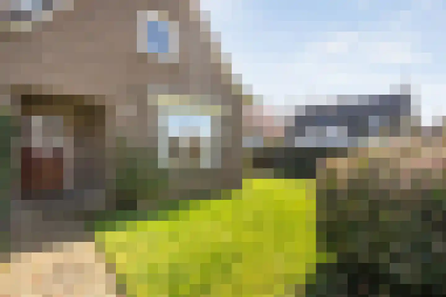 Wilhelminastraat 1 Ommen thumbnail 14