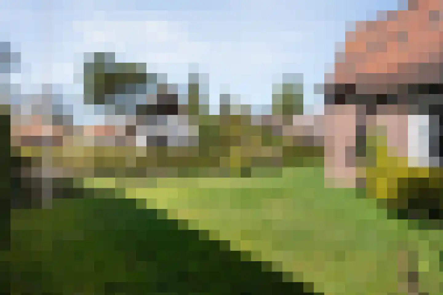 Wilhelminastraat 1 Ommen thumbnail 15