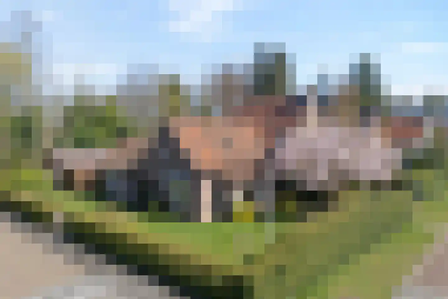 Wilhelminastraat 1 Ommen thumbnail 5