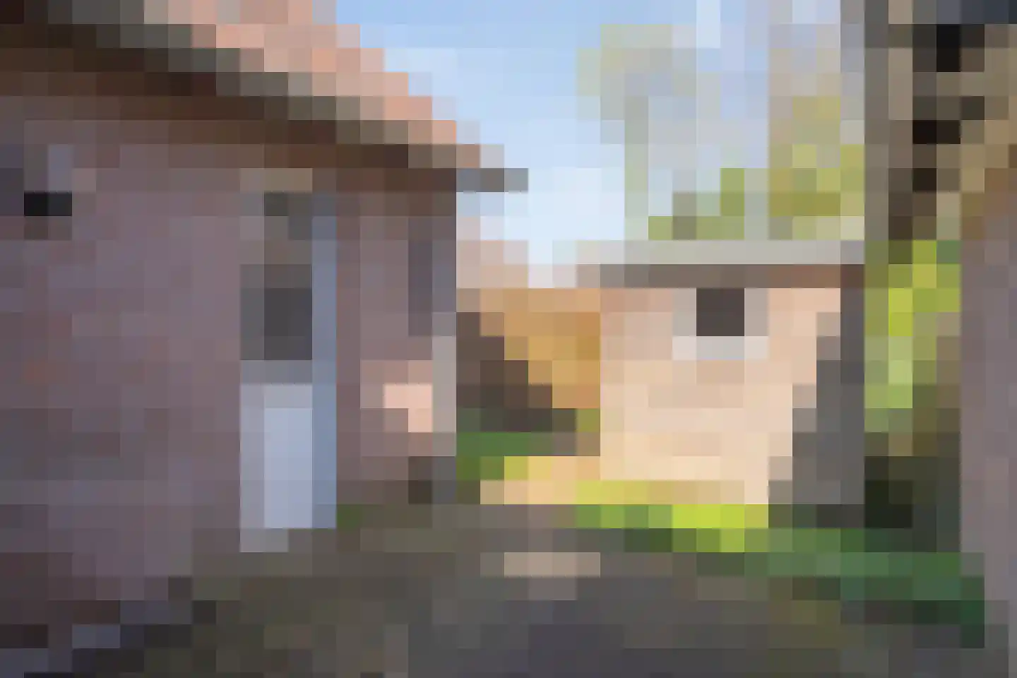Wilhelminastraat 1 Ommen thumbnail 58