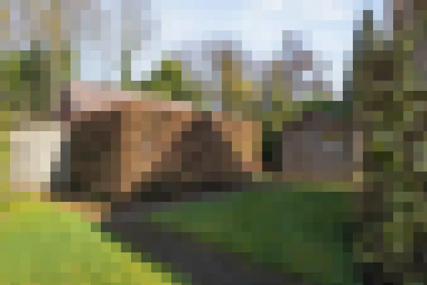 Wilhelminastraat 1 Ommen thumbnail 60