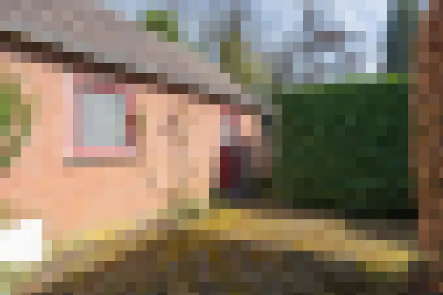 Wilhelminastraat 1 Ommen thumbnail 61