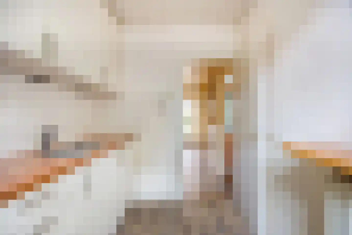 Wilhelminastraat 1 Oude-Tonge thumbnail 11