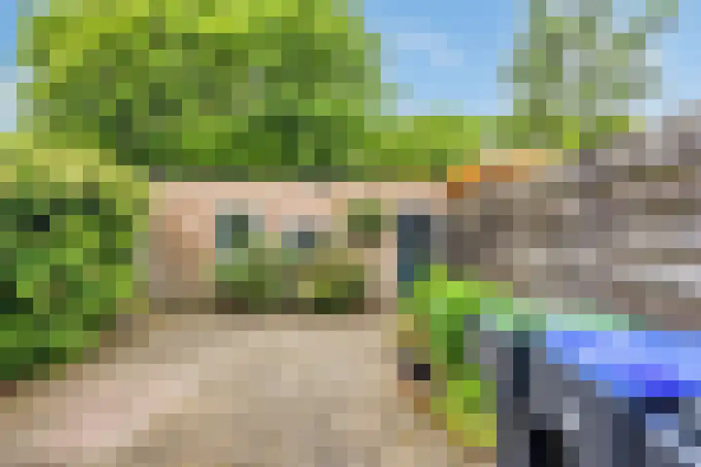 Wilhelminastraat 1 Oude-Tonge thumbnail 20