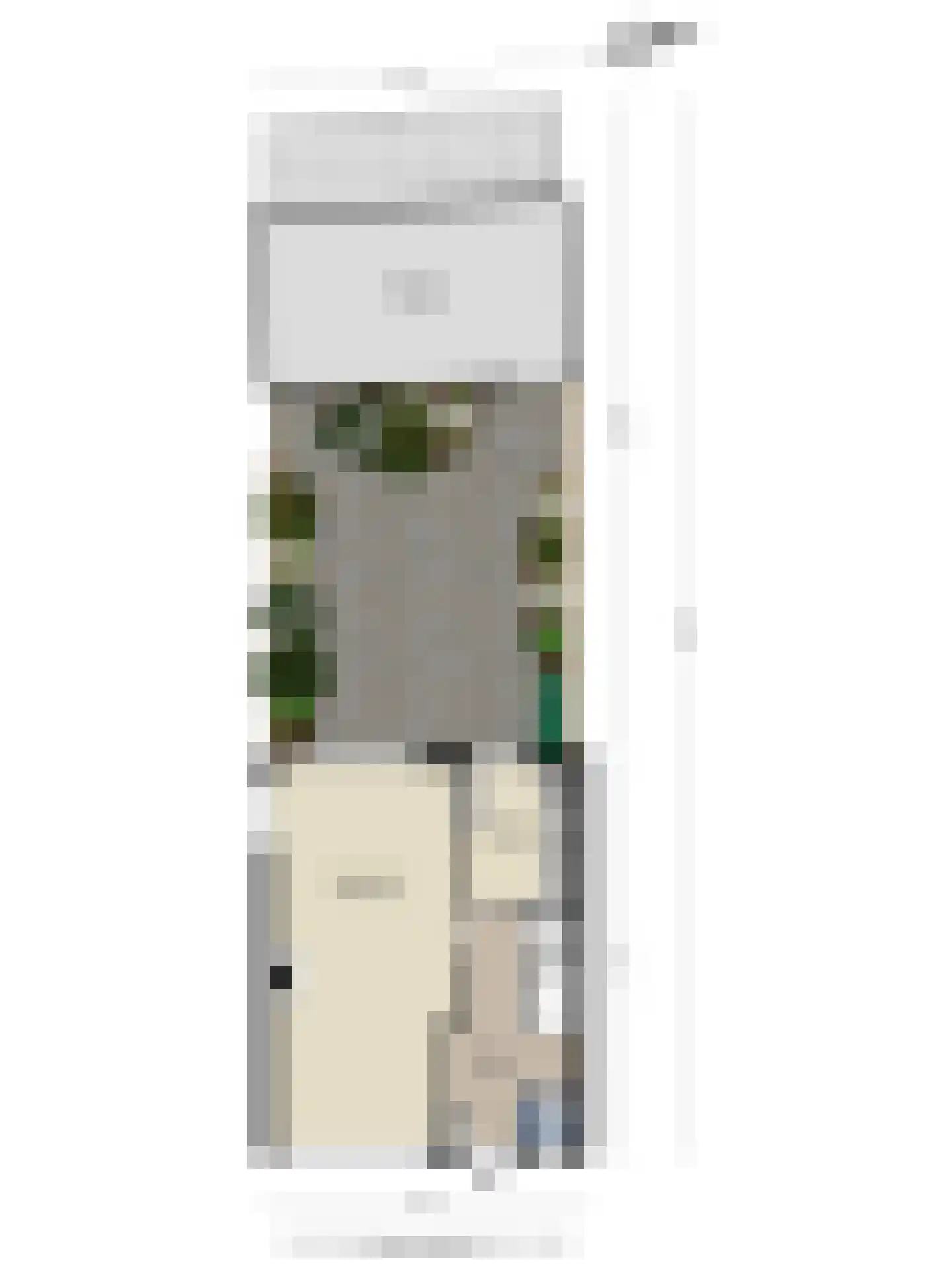 Wilhelminastraat 1 Oude-Tonge thumbnail 22