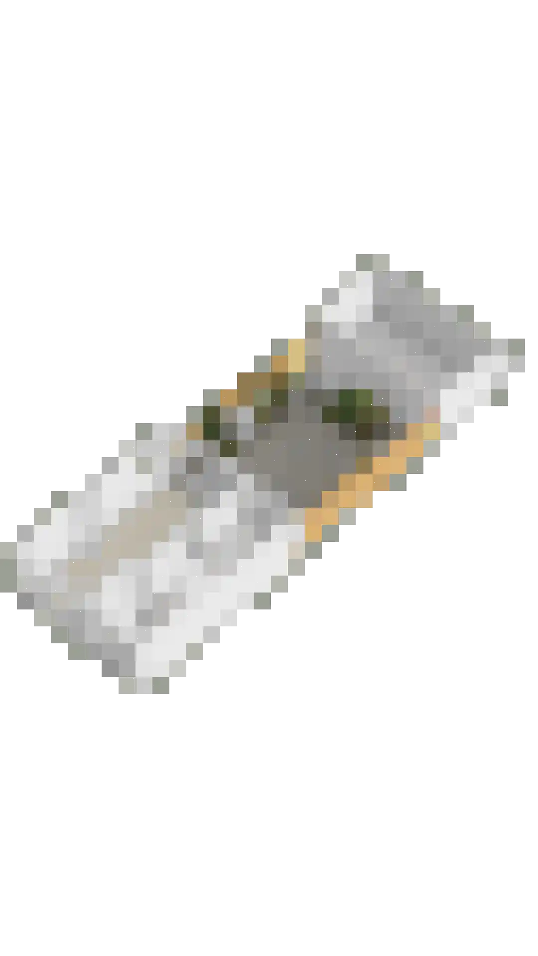 Wilhelminastraat 1 Oude-Tonge thumbnail 27