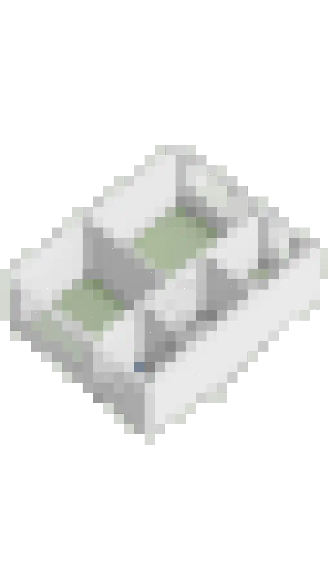 Wilhelminastraat 1 Oude-Tonge thumbnail 29