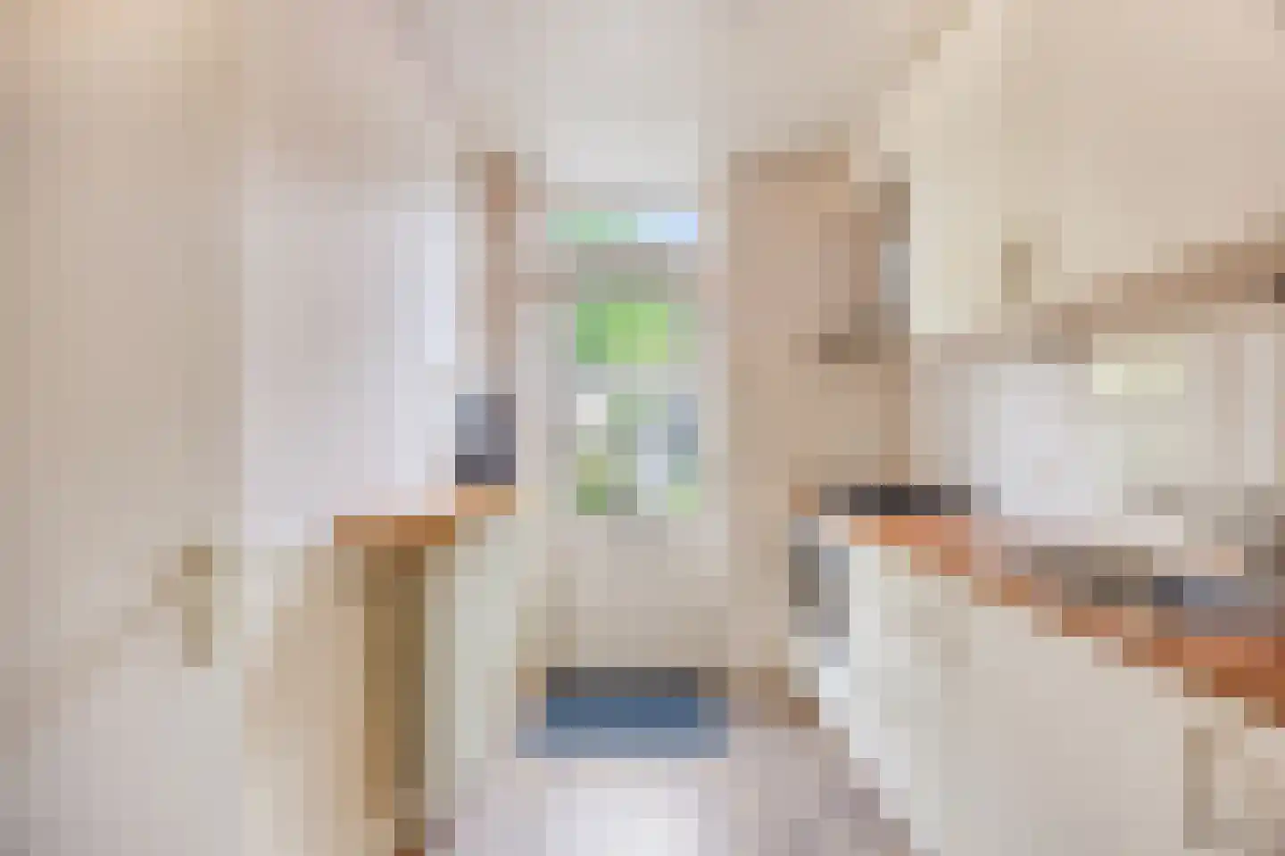 Wilhelminastraat 1 Oude-Tonge thumbnail 4