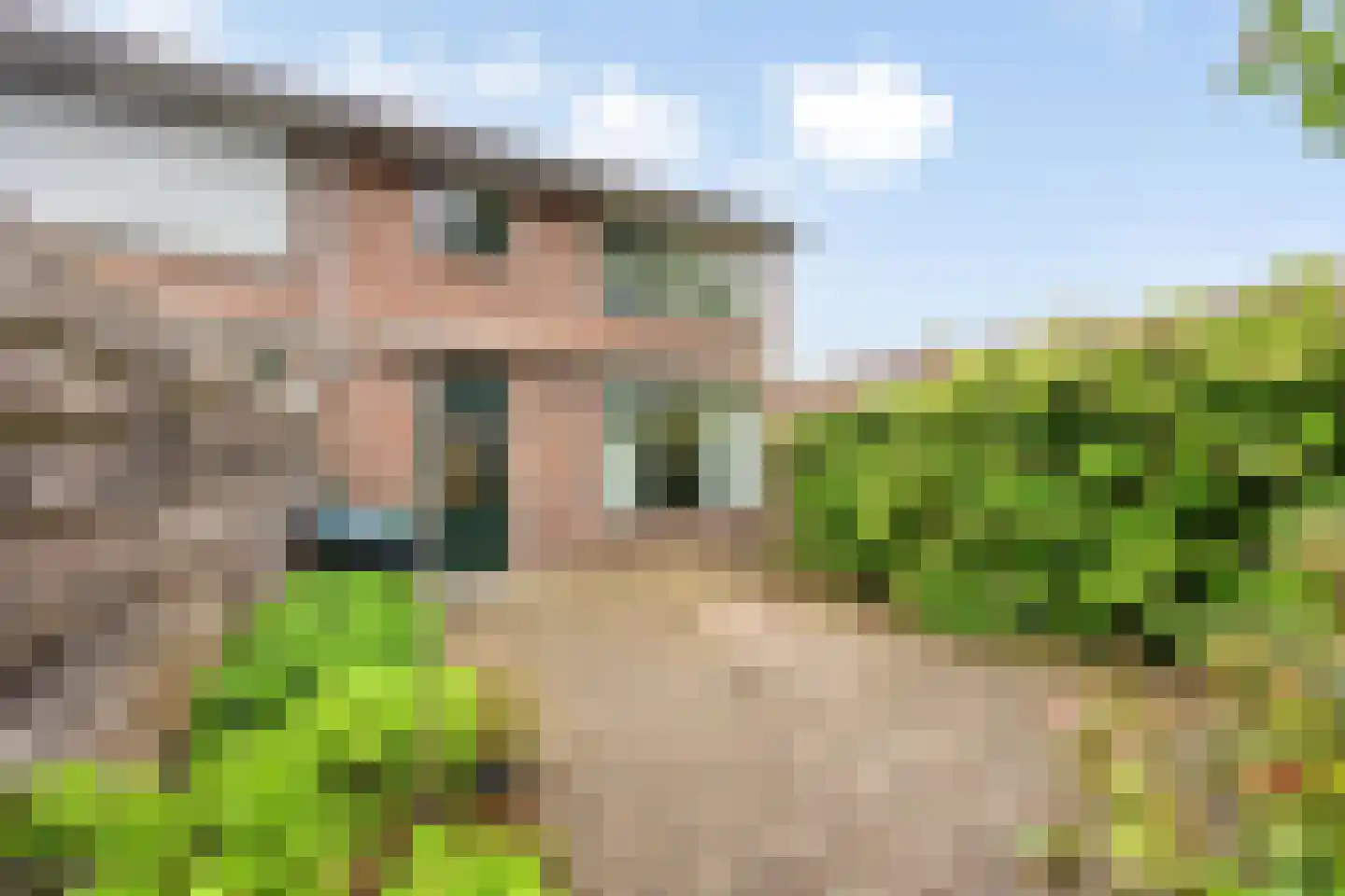 Wilhelminastraat 1 Oude-Tonge thumbnail 5