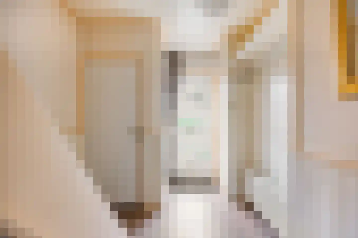 Wilhelminastraat 1 Oude-Tonge thumbnail 7