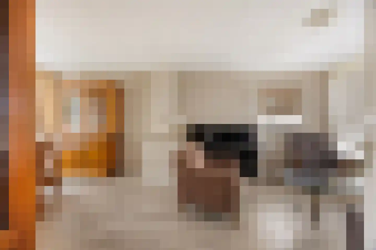 Wilhelminastraat 1 Oude-Tonge thumbnail 9