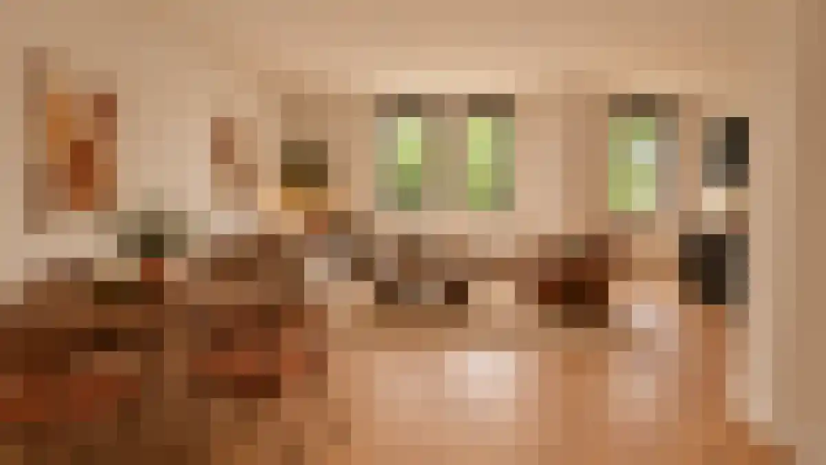 Wilhelminastraat 1 Sittard thumbnail 4