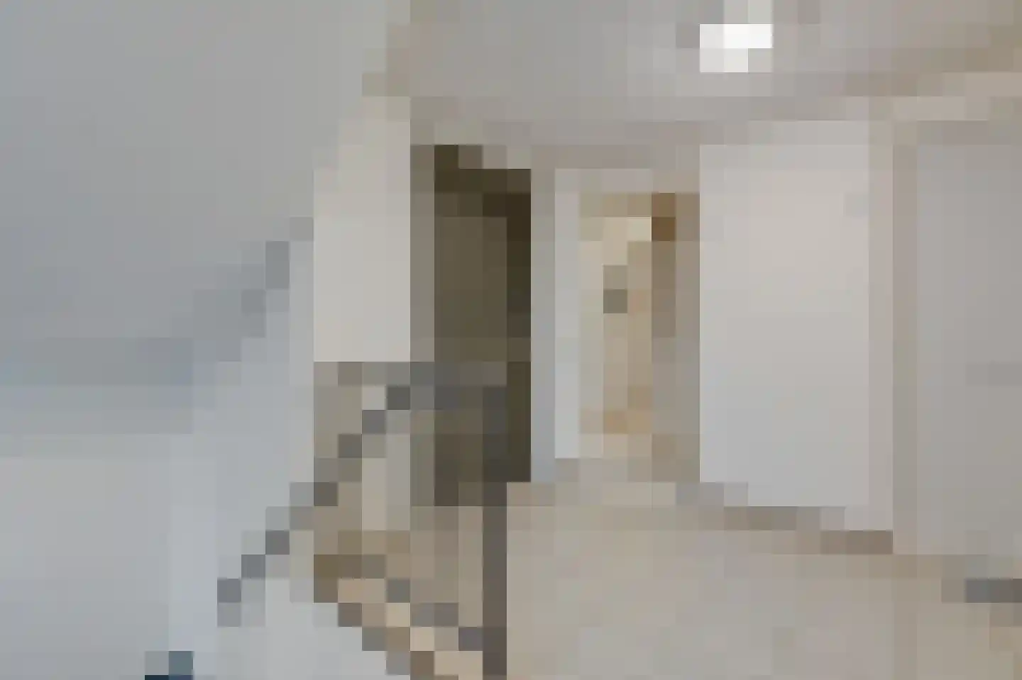 Wilhelminastraat 1 Velp thumbnail 14