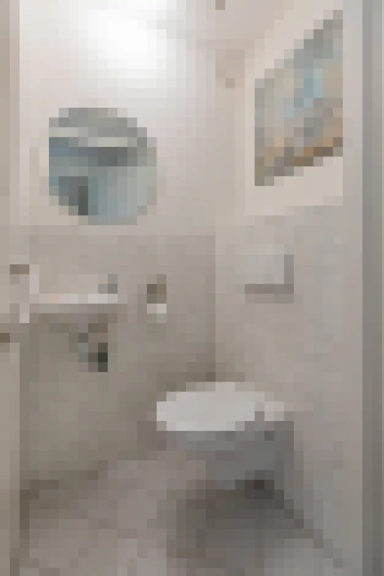 Wilhelminastraat 1 Velp thumbnail 17