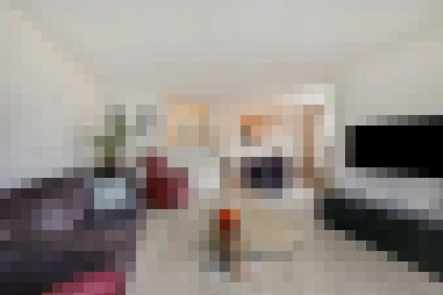 Wilhelminastraat 1 Velp thumbnail 20