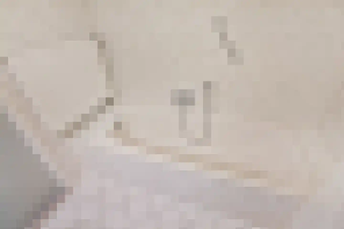 Wilhelminastraat 1 Velp thumbnail 29