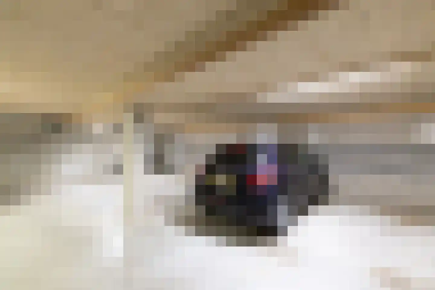 Wilhelminastraat 1 Velp thumbnail 38