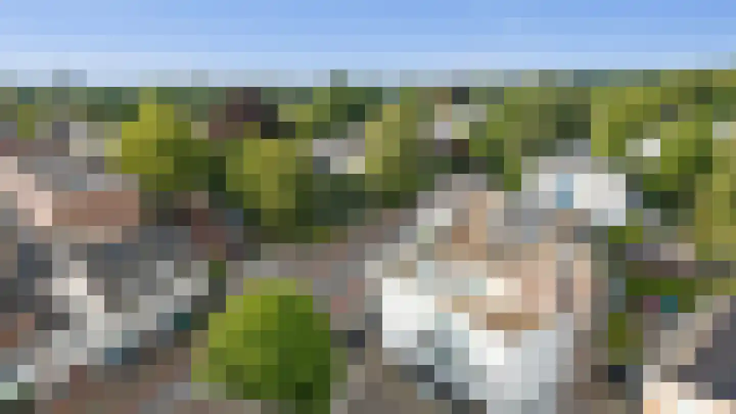 Wilhelminastraat 1 Velp thumbnail 42